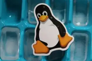 Webserver & Linux Systems.