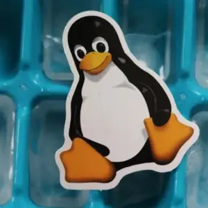 Webserver & Linux Systems.